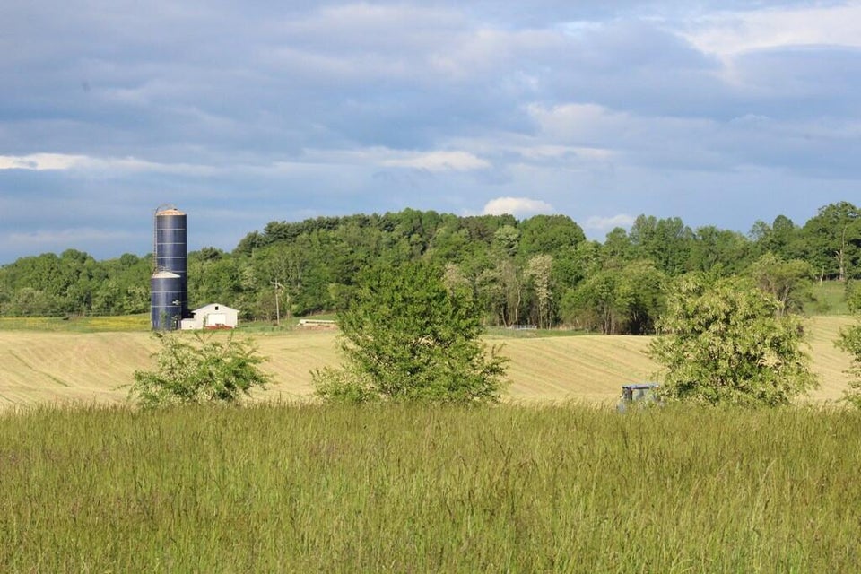 Photo #11: 30232 Lee Highway