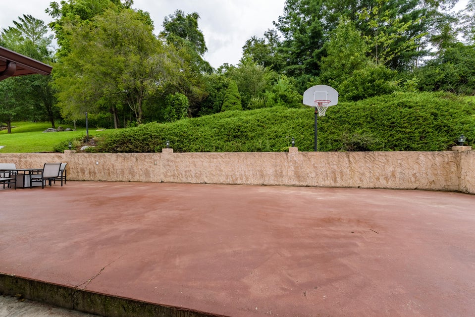 Photo #45: 280 Terry Drive