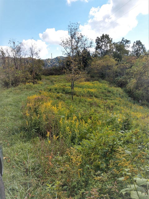 Photo #3: 00 Mountain Valley Road