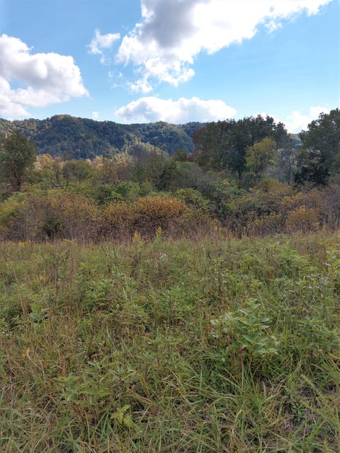 Photo #5: 00 Mountain Valley Road