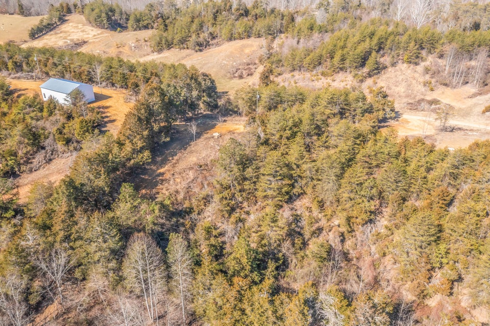 Photo #35: 197 Gene Derrick Road