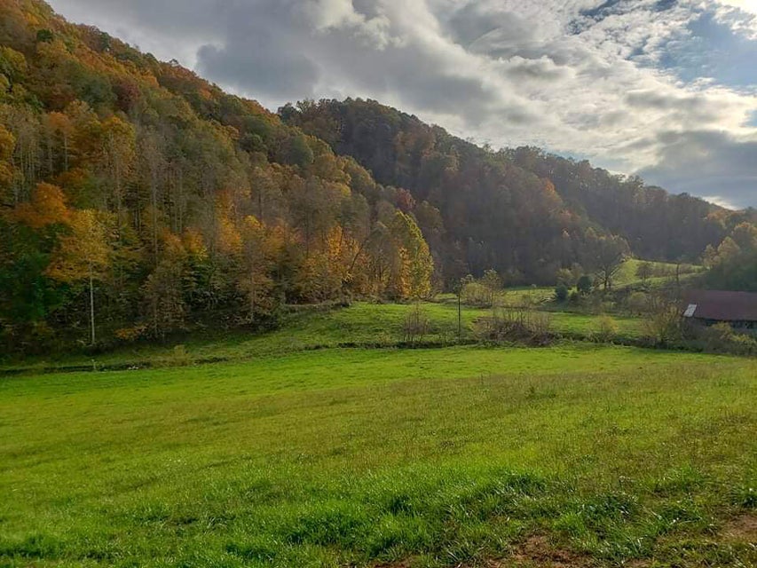 Photo #56: 197 Gene Derrick Road