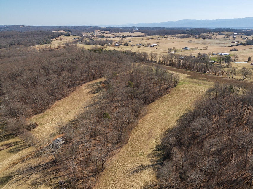 Photo #24: 650 Glenwood Drive