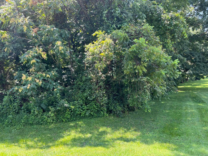 Photo #7: Tbd Grassy Circle