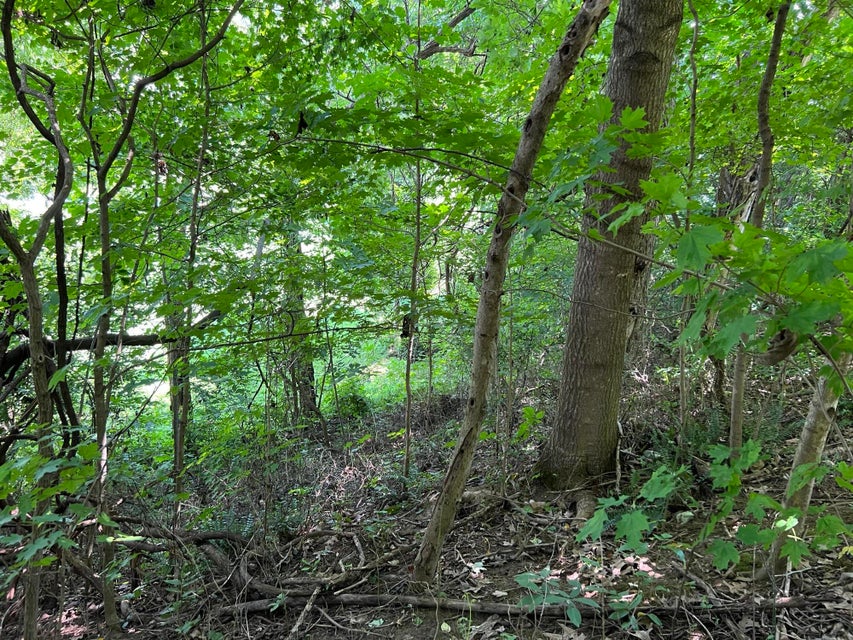 Photo #10: Tbd Grassy Circle