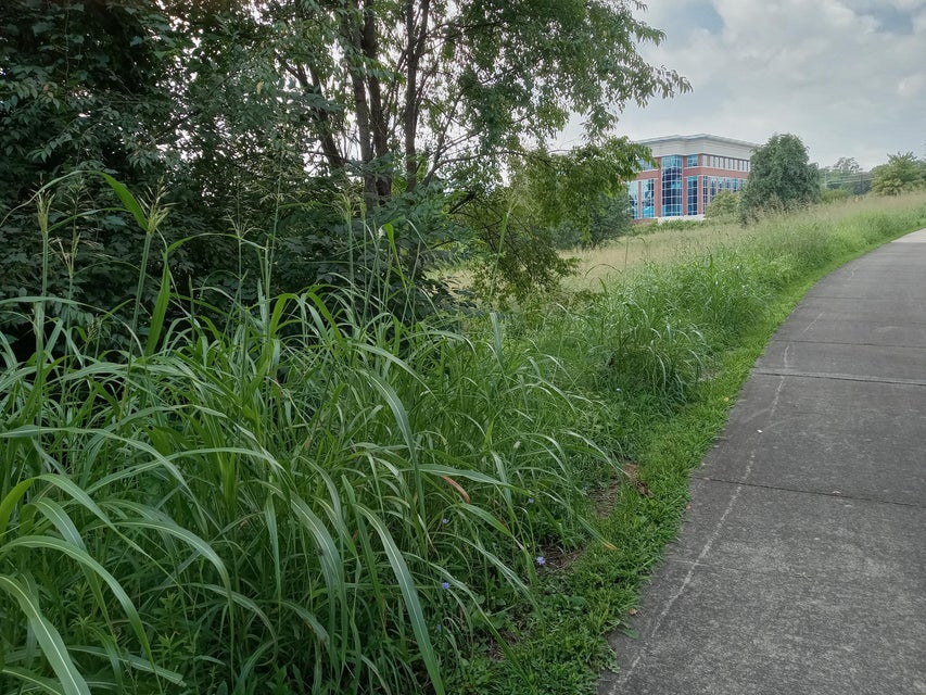 Photo #10: 609 Med Tech Parkway