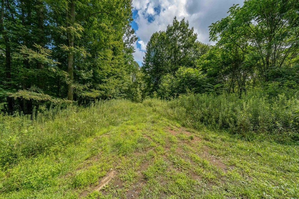 Photo #17: 414 Eagle Ridge Rd