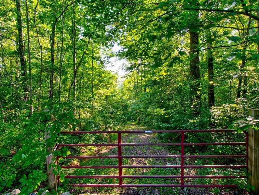 Photo #16: Lot 9 Saddleridge Drive