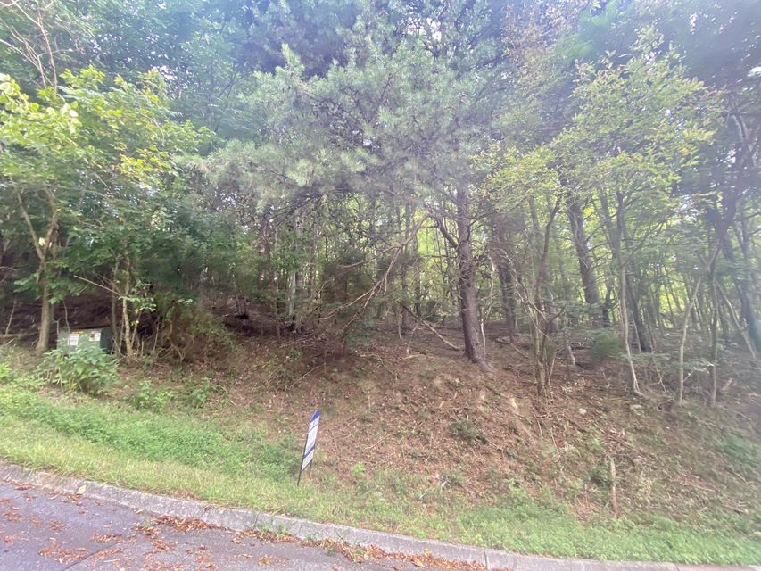 Photo #7: 4317 Morning Star Drive