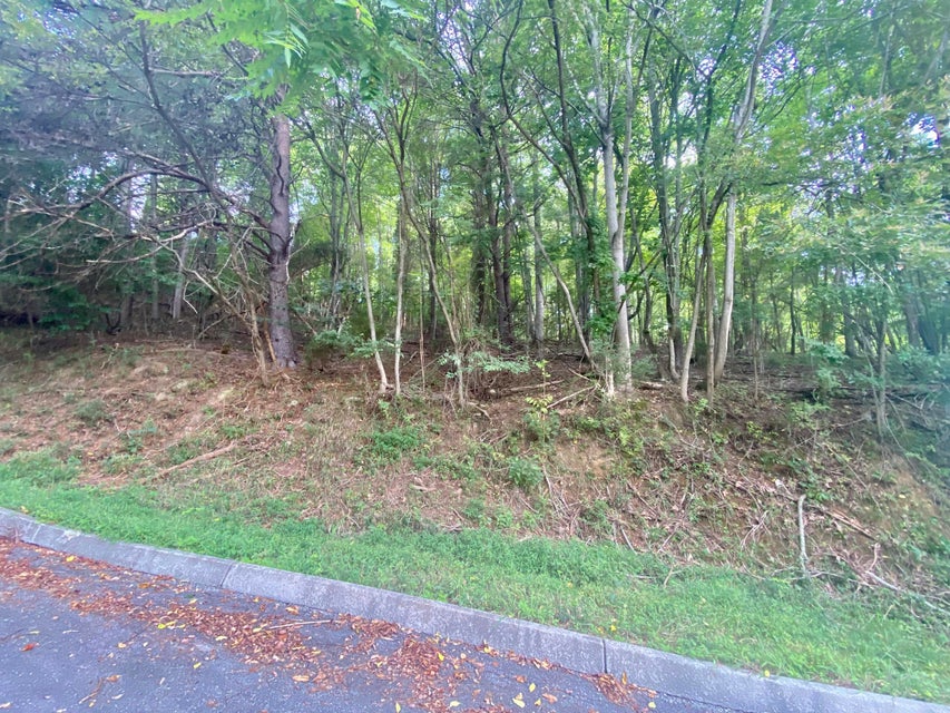 Photo #9: 4317 Morning Star Drive