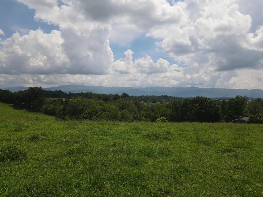 Photo #3: Tbd Browns Bridge Rd