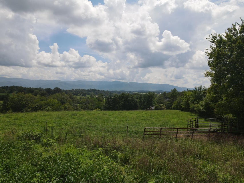 Photo #4: Tbd Browns Bridge Rd