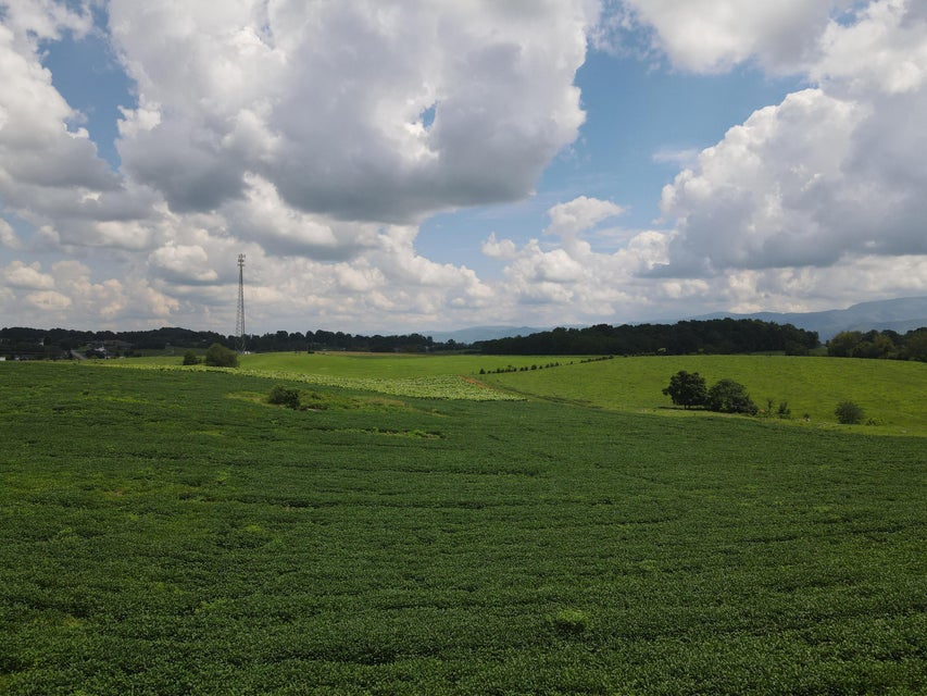 Photo #6: Tbd Browns Bridge Rd