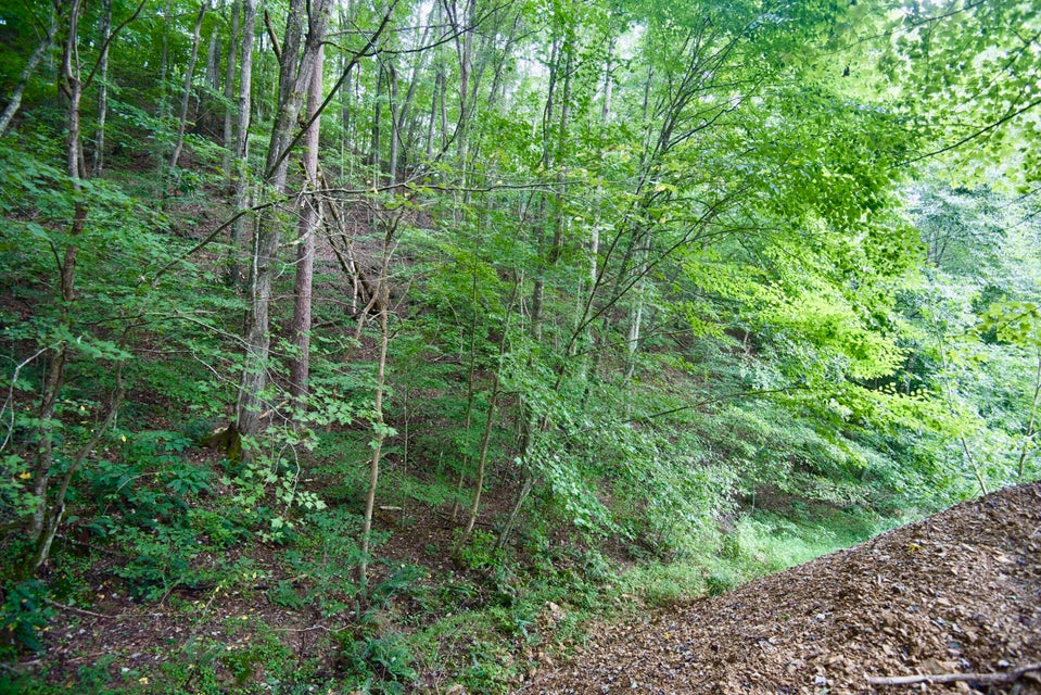 Photo #15: 2700 Bristol Highway