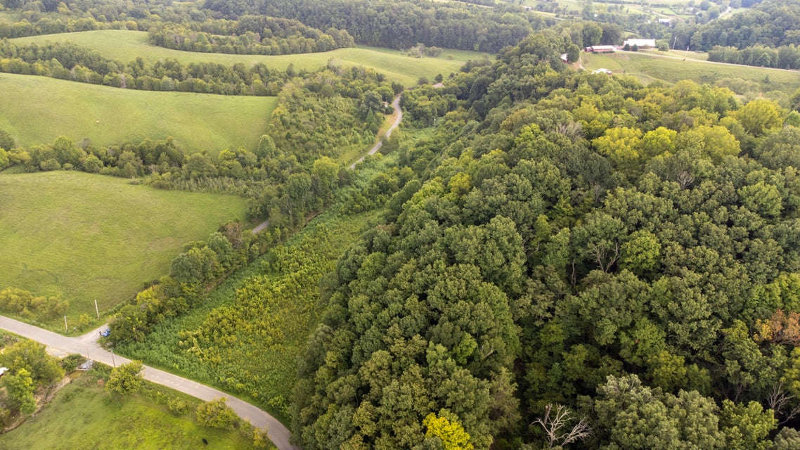 Photo #4: 0 Carl Doty Road