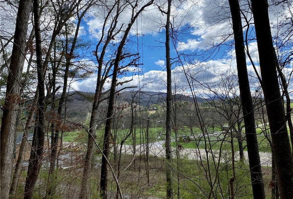 Photo #2: Tbd Rhea Road