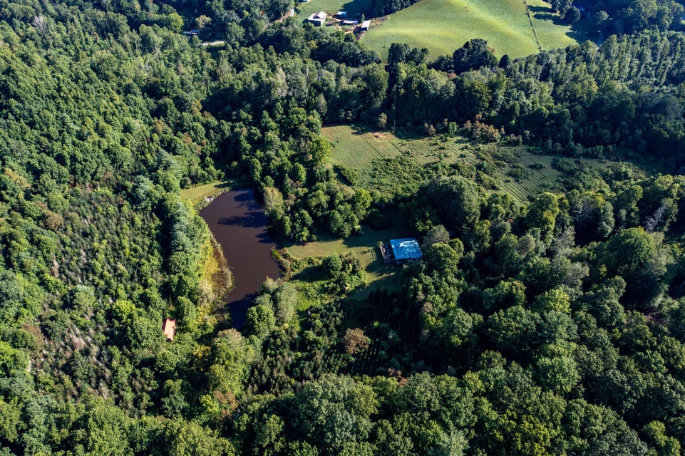 Photo #29: 306 Bear Branch Rd