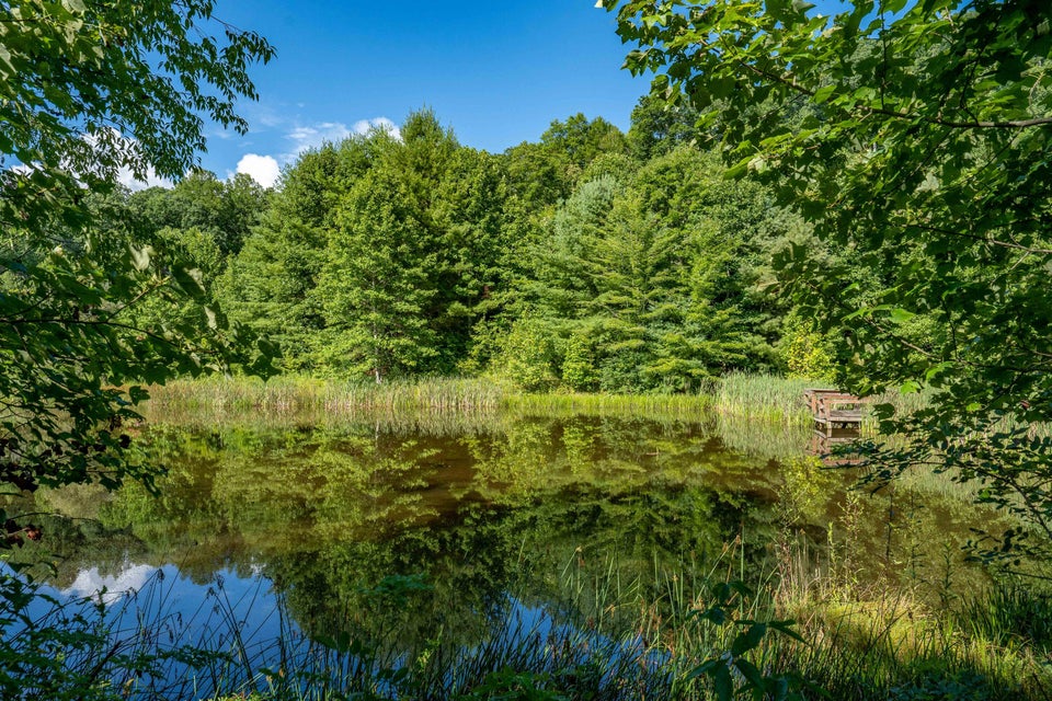 Photo #84: 306 Bear Branch Rd