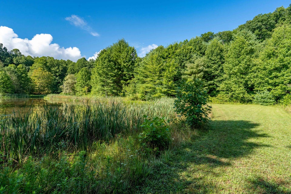Photo #85: 306 Bear Branch Rd