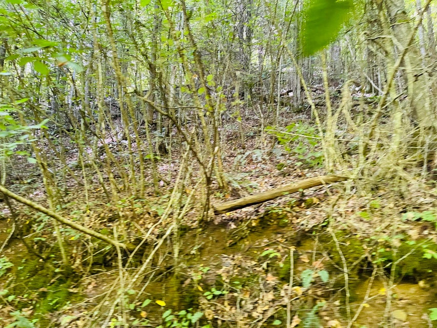 Photo #7: Tbd Quinn Branch Road