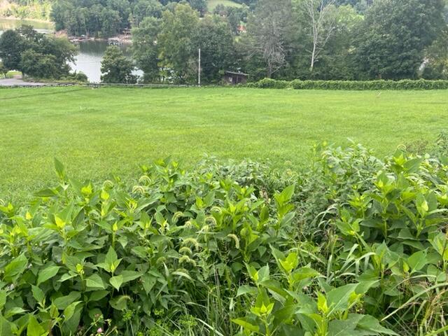Photo #2: Tbd Cowan Town Road