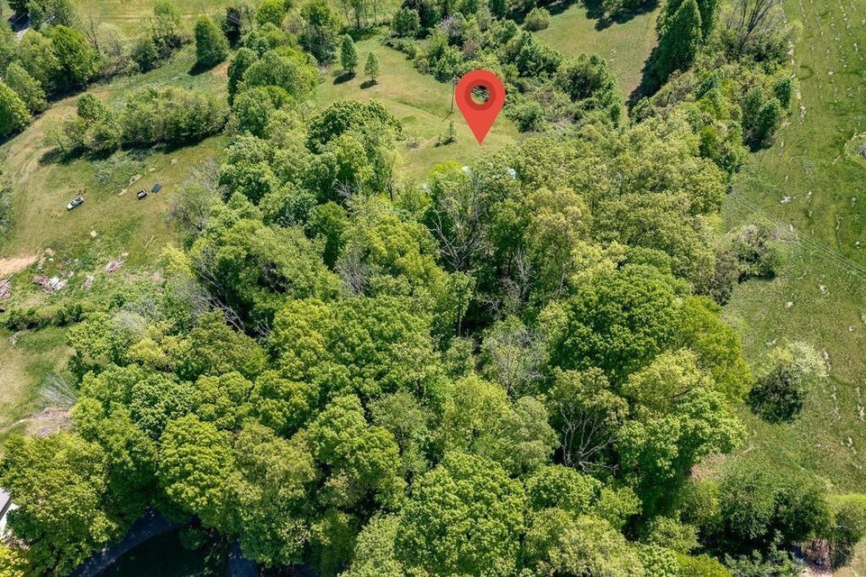 Photo #12: 280 Lester Road