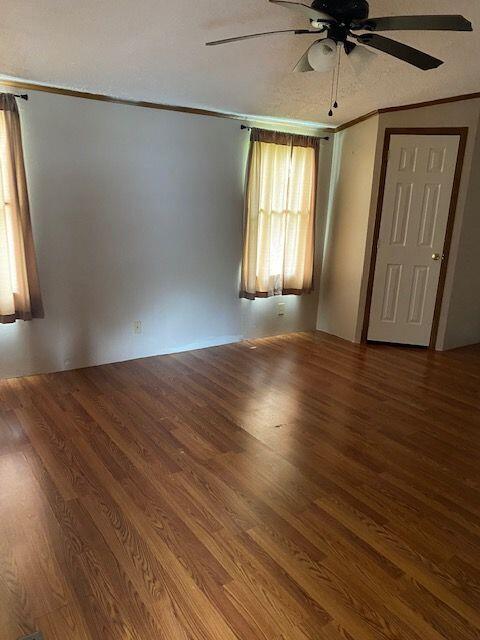 Photo #12: 424 1st Street