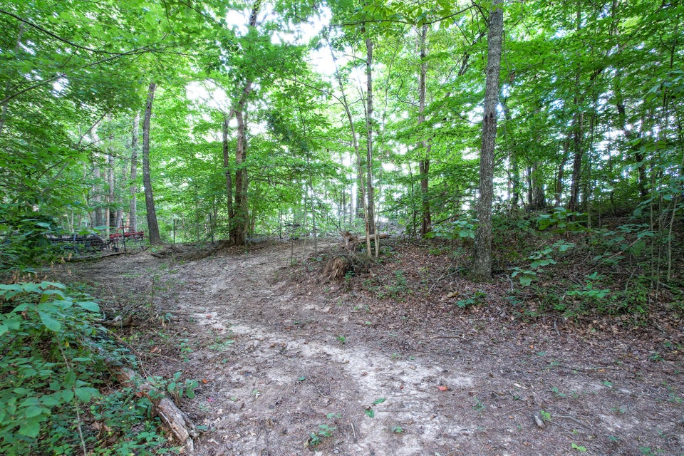 Photo #20: 6865 Warrensburg Road