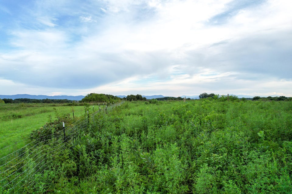 Photo #22: 6865 Warrensburg Road