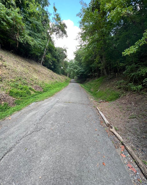 Photo #4: Tbd Holston Street