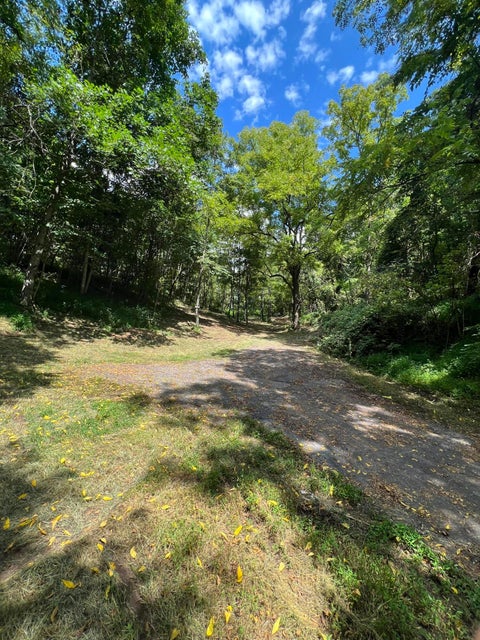 Photo #16: Tbd Holston Street