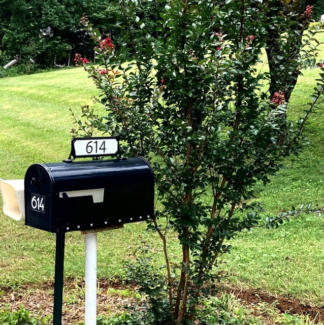 Photo #2: 614 Woodland Drive
