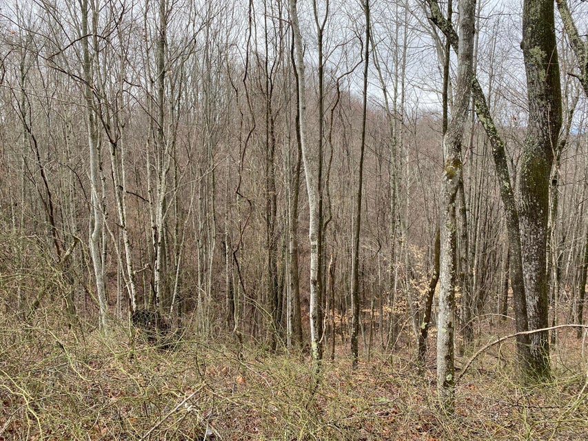 Photo #8: Tbd Lynn Springs Road