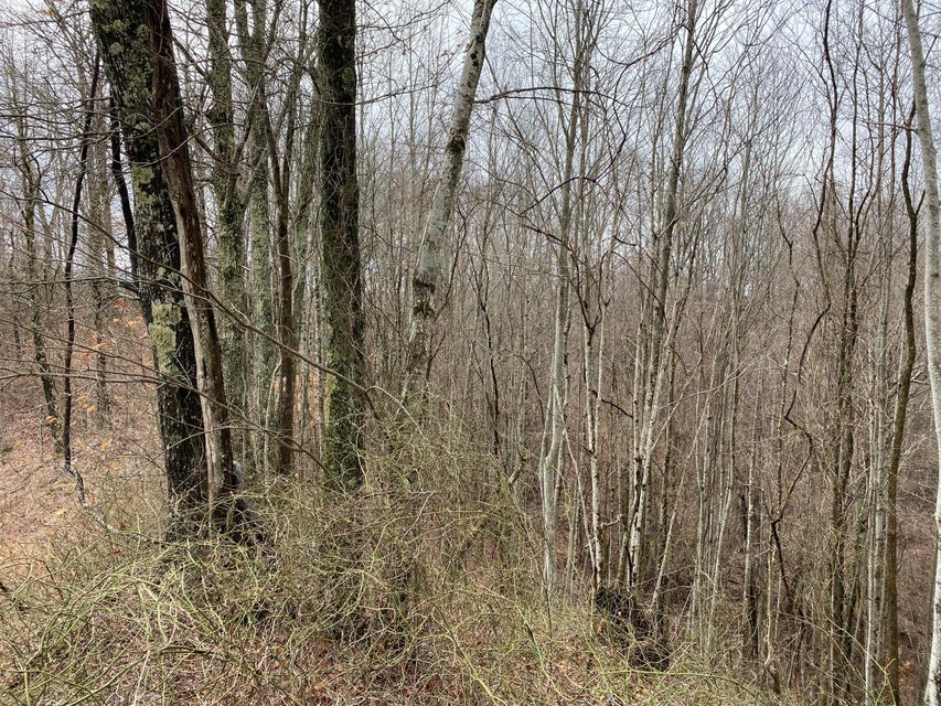 Photo #9: Tbd Lynn Springs Road