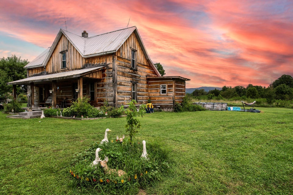 Photo #32: 770 Bernard Road