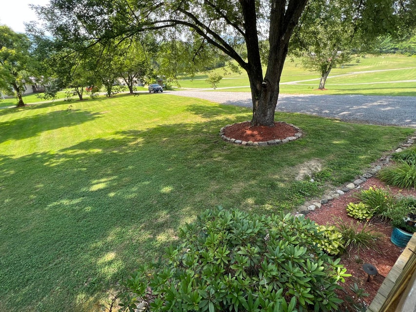 Photo #21: 163 Warren Drive