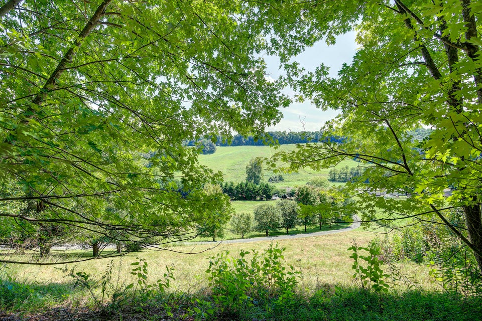 Photo #57: 1055 Hunting Hill Road