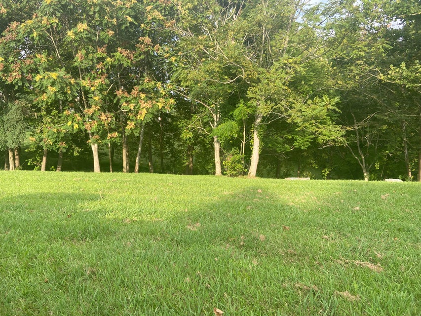 Photo #5: Lot 6 Pueblo Drive
