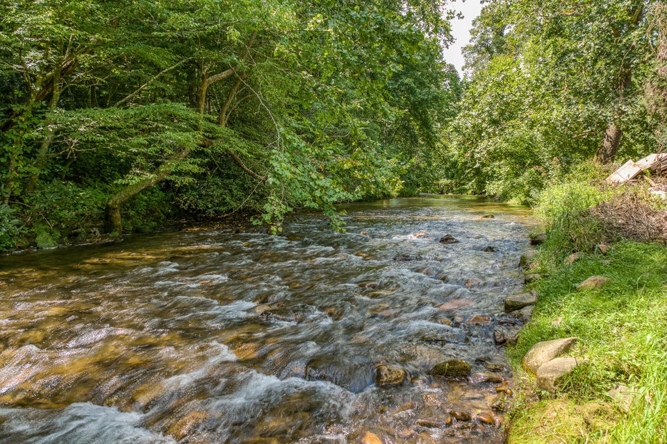 Photo #8: 1270 Doe Creek Road