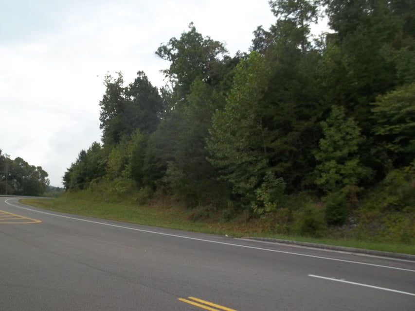 Photo #3: Lot 74 North Central Avenue