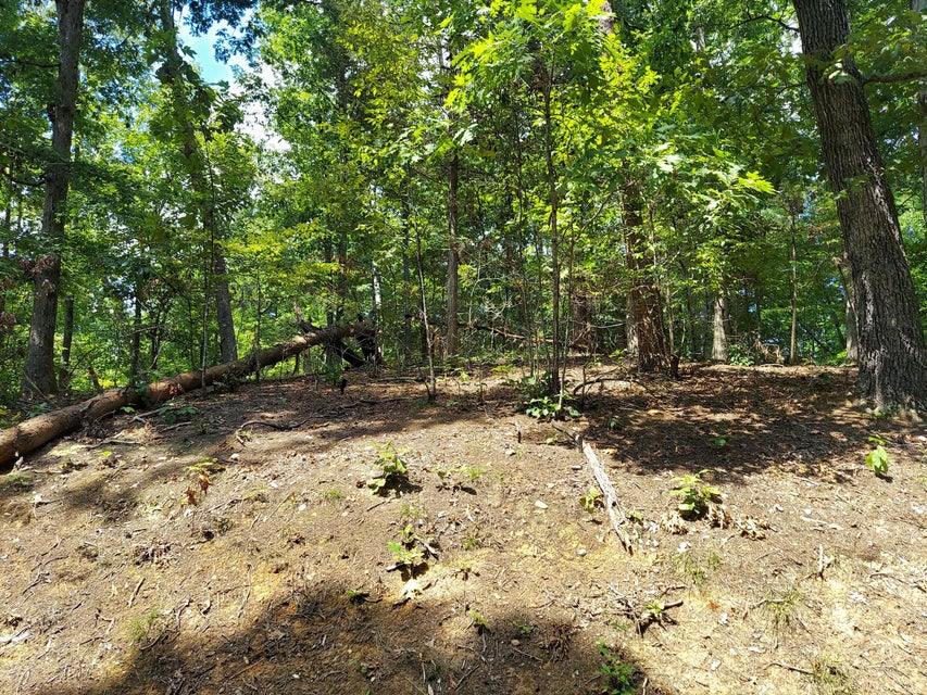 Photo #7: Lt 875-877 Stoneway Place & Tyler Court