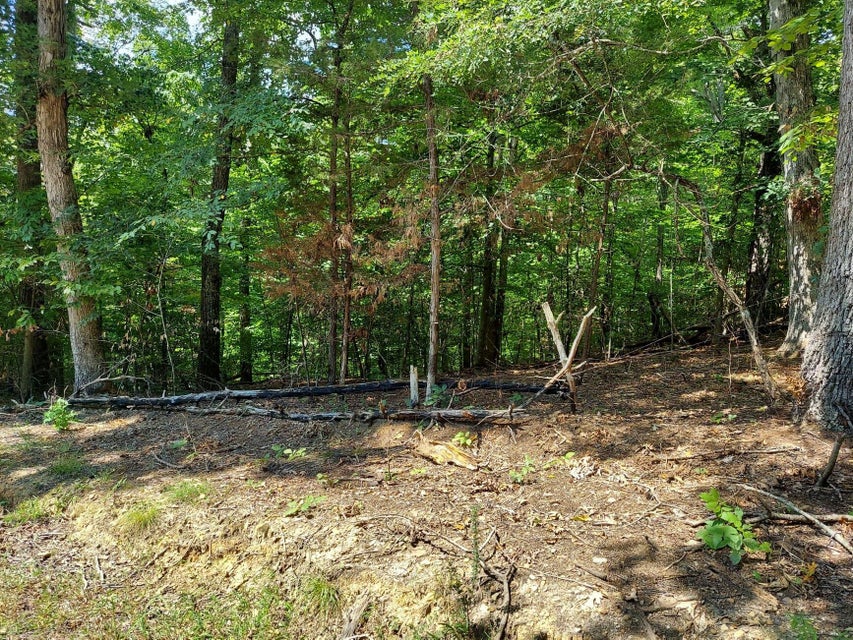 Photo #17: Lt 875-877 Stoneway Place & Tyler Court