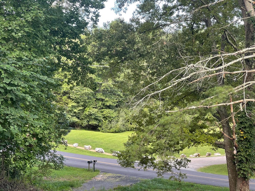 Photo #36: 314 Buttermilk Road