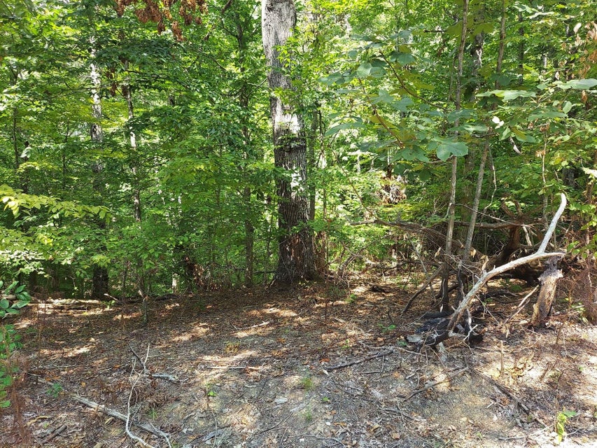 Photo #4: Lot 877 Stoneway Place
