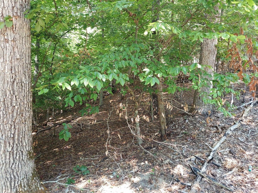 Photo #6: Lot 877 Stoneway Place