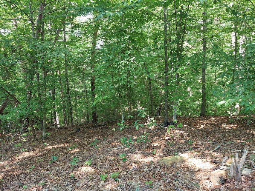 Photo #7: Lot 877 Stoneway Place