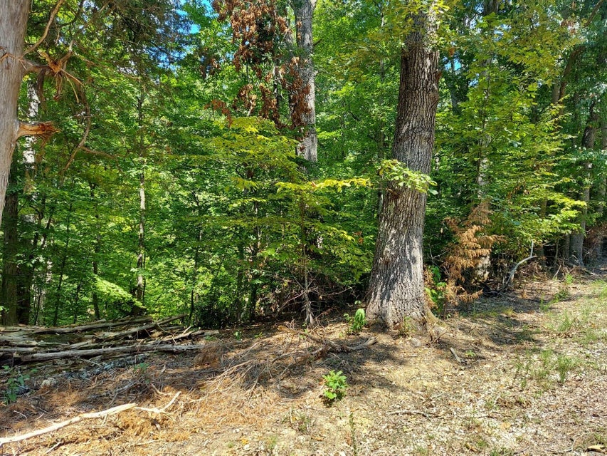 Photo #11: Lot 877 Stoneway Place