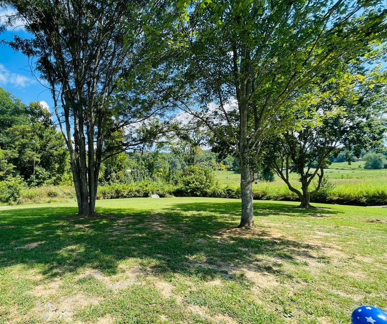 Photo #27: 471 Okolona Road