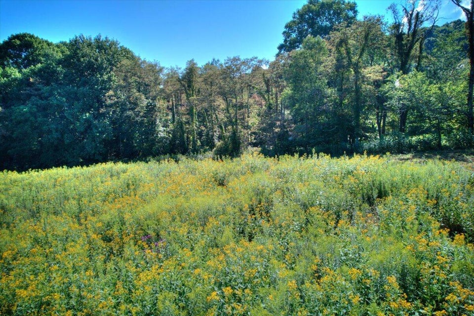 Photo #20: Tbd Dyer Road