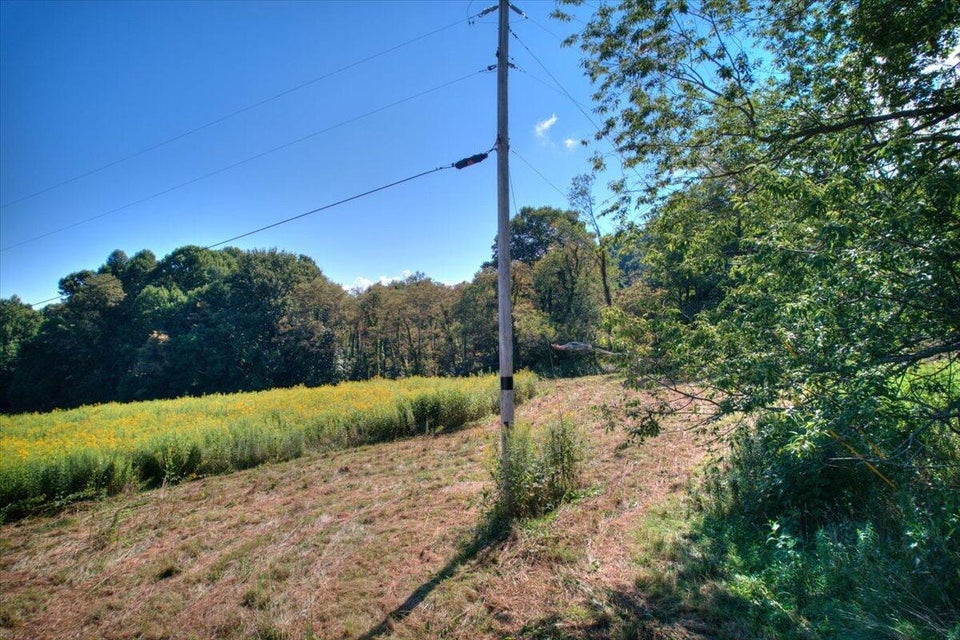 Photo #27: Tbd Dyer Road